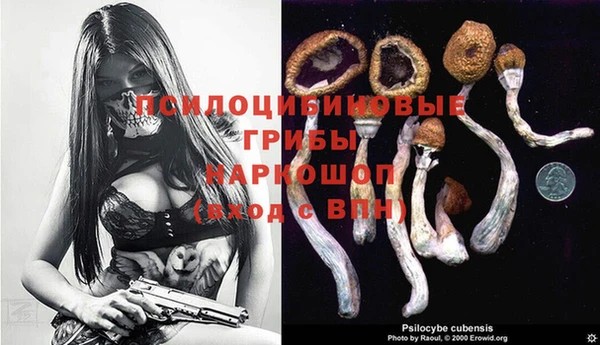 соль ск Гусиноозёрск