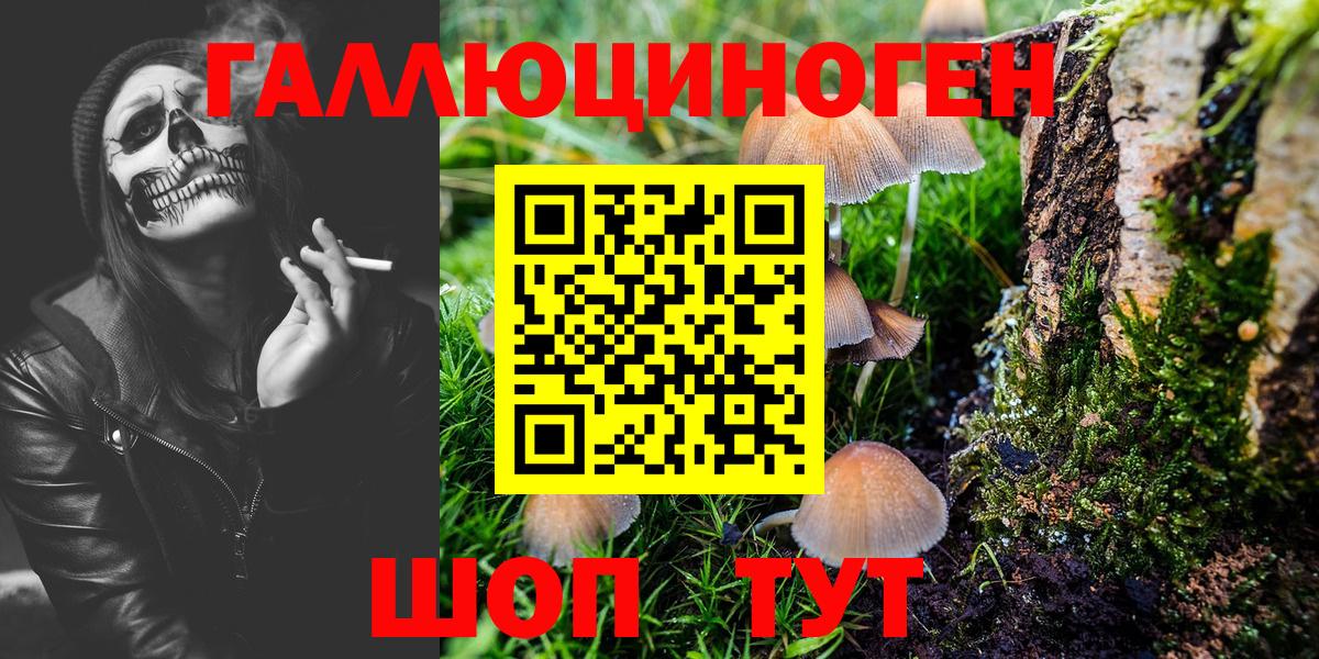 Галлюциногенные грибы GOLDEN TEACHER  Псилоцибиновые грибы MAGIC MUSHROOMS  Александров  Вход с VPN 