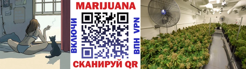 купить наркоту  гидра зеркало  МАРИХУАНА AK-47  Александров 