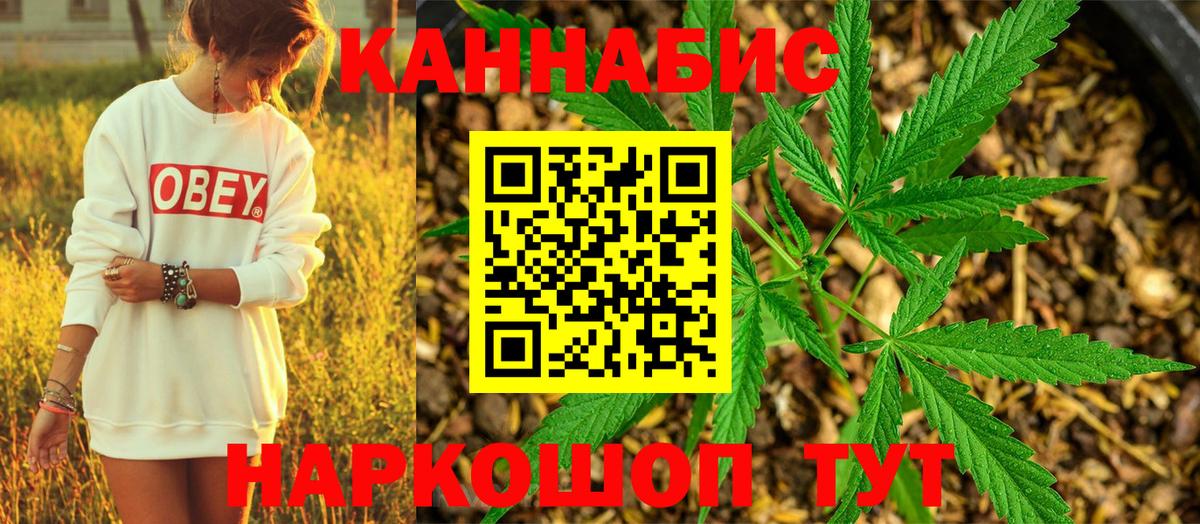 Канабис гибрид Александров
